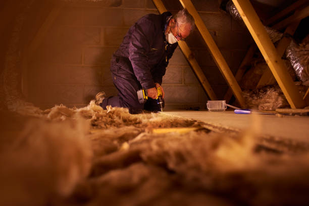 Best Insulation Maintenance and Repair in Moroni, UT