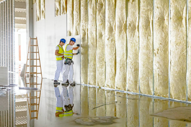 Best Types of Insulation in Moroni, UT